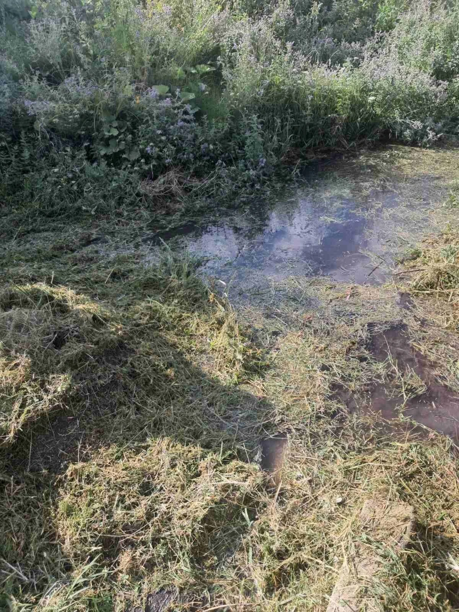 Військові запропонували — громада підтримала: у Григорівці відроджують джерела