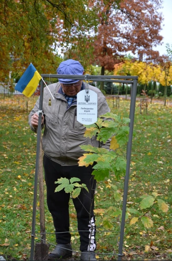 У сусідів: порушення в деклараціях, крадіжки у потягах, аварії через негоду, скандал із закупівлями