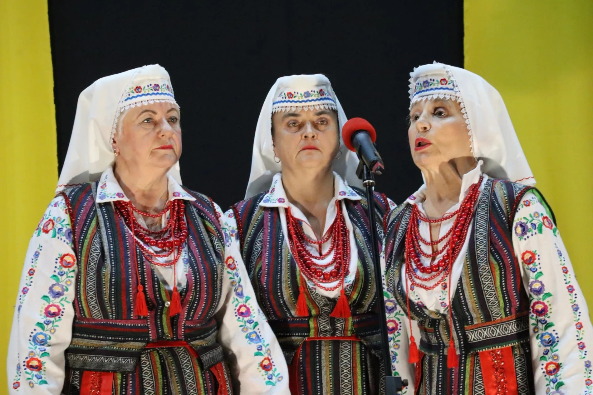 День захисників і захисниць у Старокостянтинові: пам’ять, зустрічі, творчість і вдячність