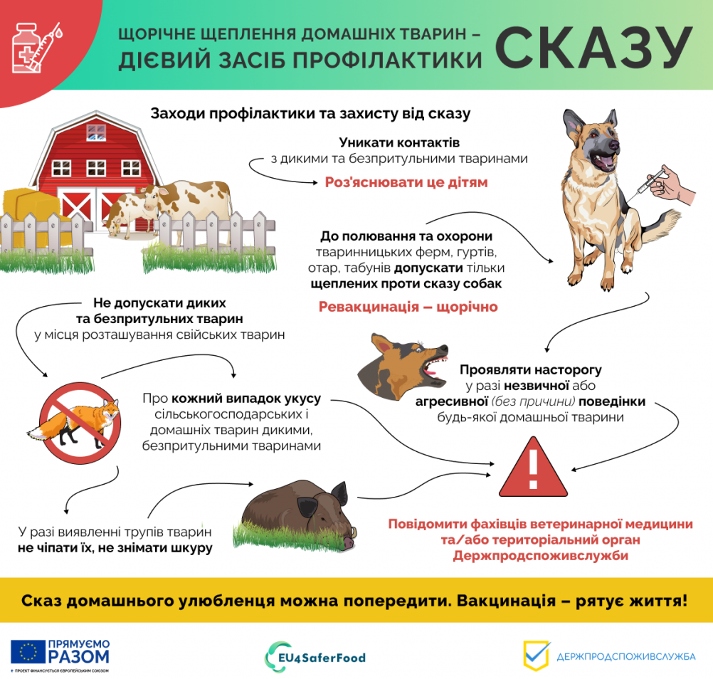 Як уберегти улюбленців від хвороб в холодну пору року - пояснюють у Старокостянтинівській ветклініці