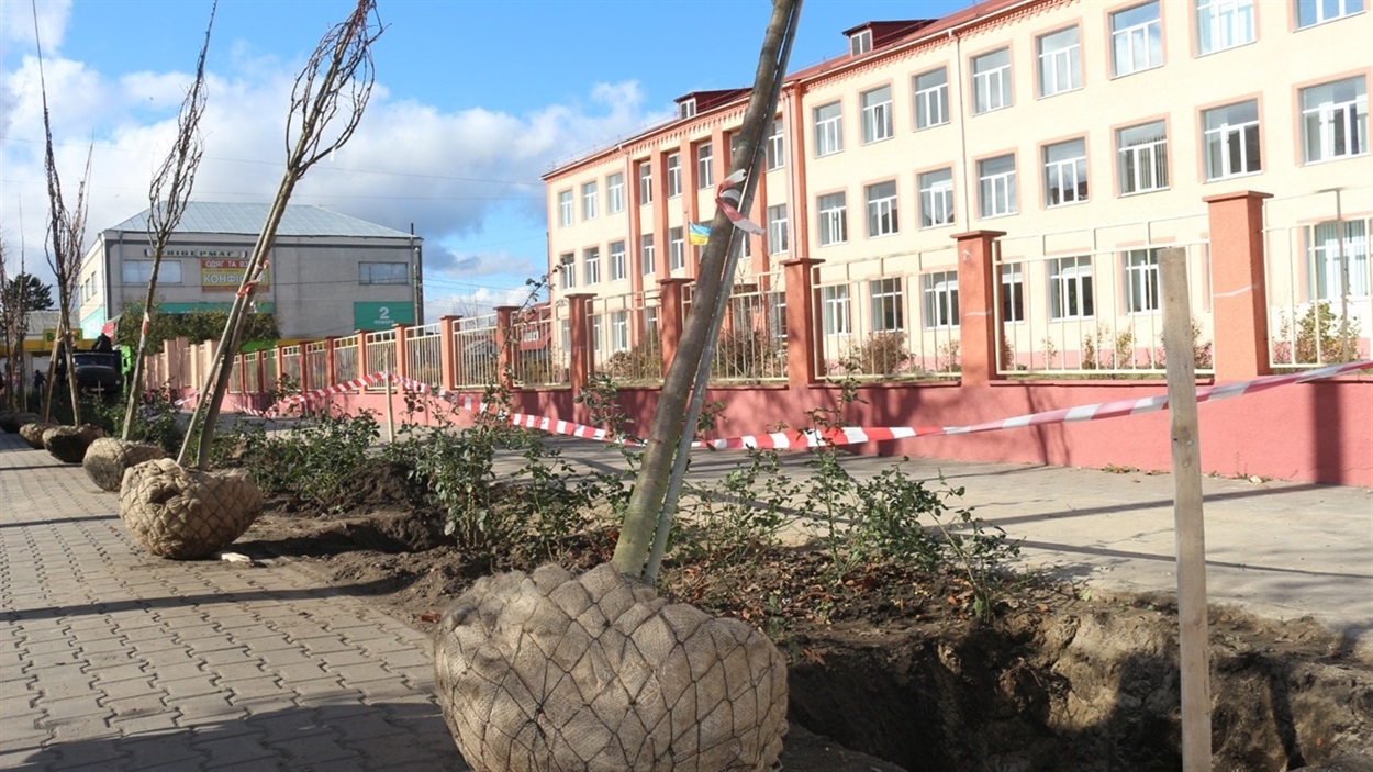 У Старокостянтинові висадили 90 сакур