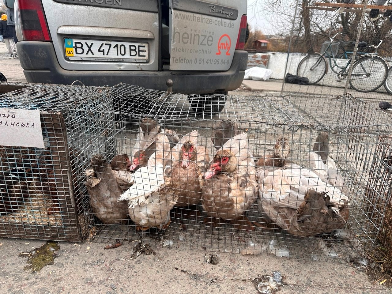 Осіння магія на набережній Старокостянтинова: ярмарок, тваринки та запашна козацька юшка