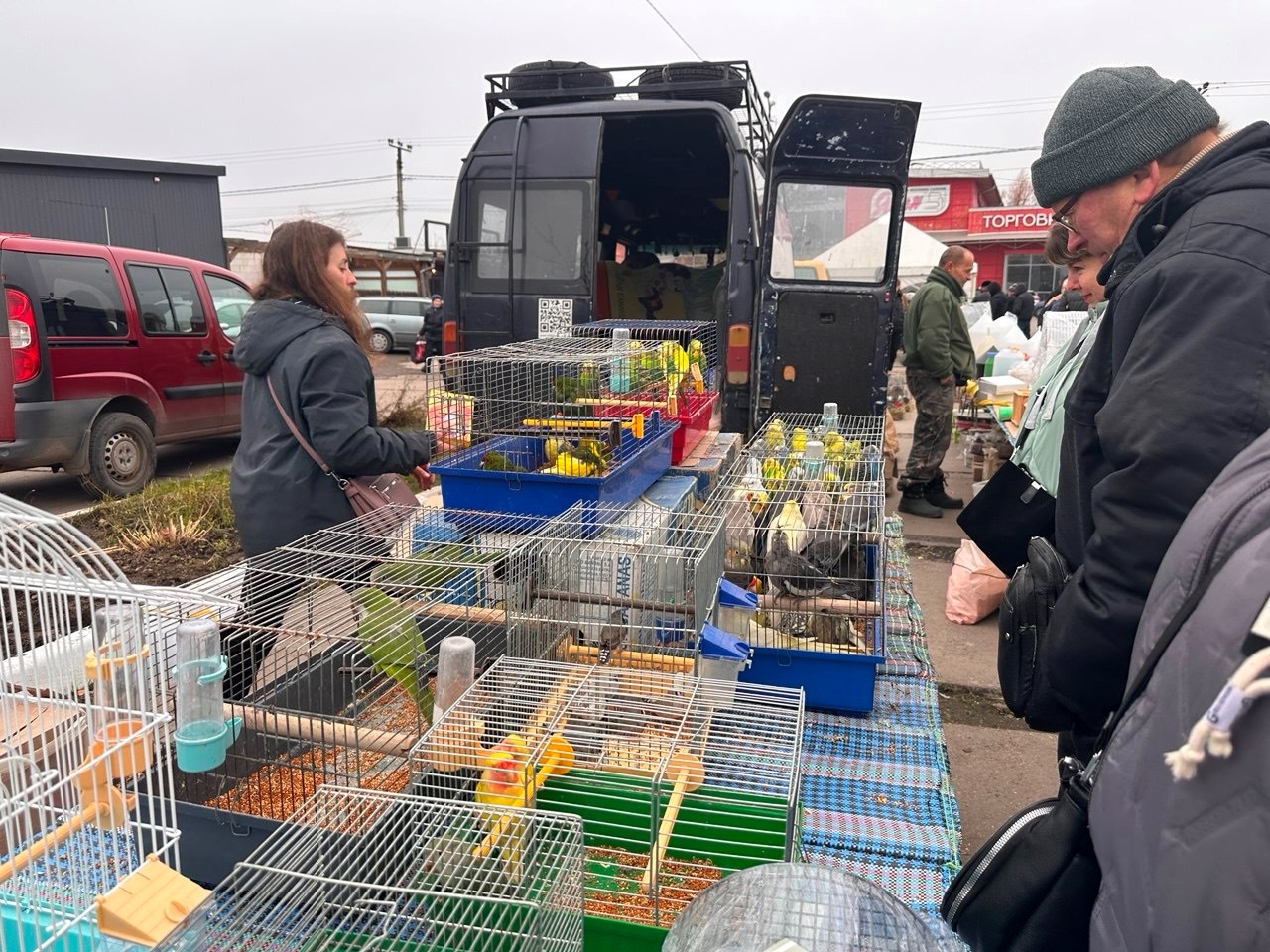 Осіння магія на набережній Старокостянтинова: ярмарок, тваринки та запашна козацька юшка