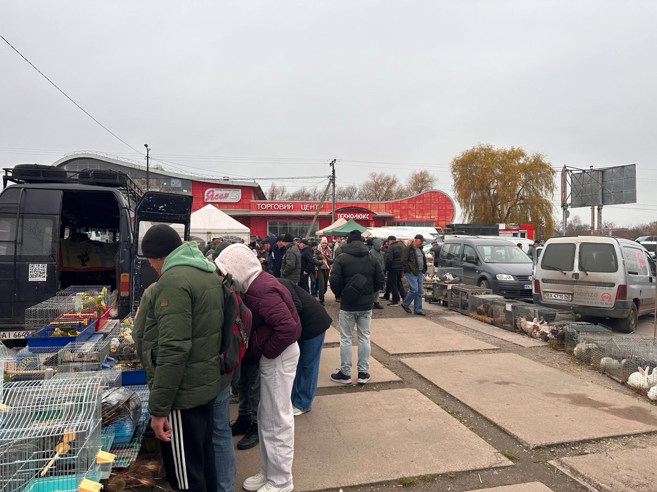 Осіння магія на набережній Старокостянтинова: ярмарок, тваринки та запашна козацька юшка