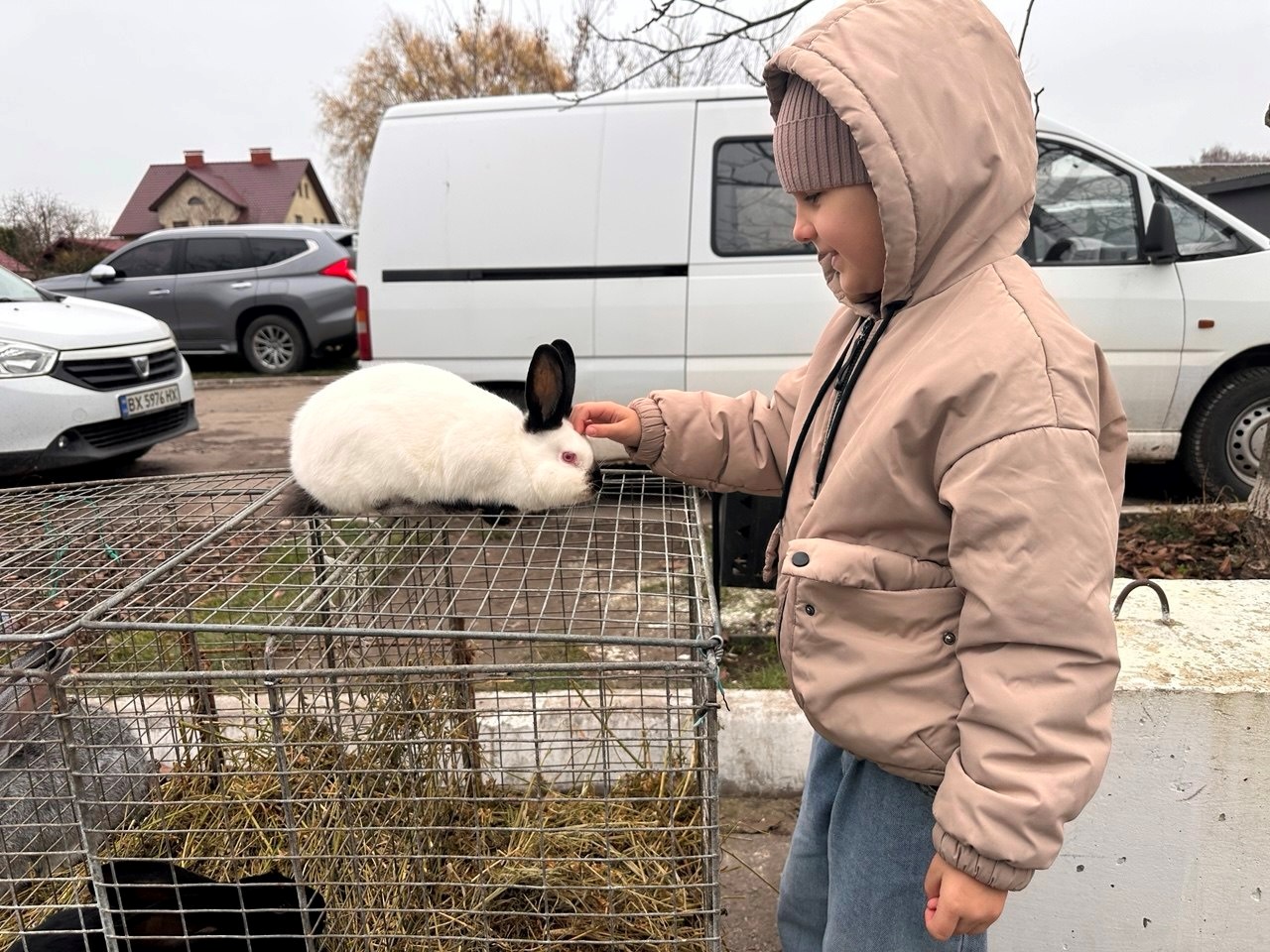 Осіння магія на набережній Старокостянтинова: ярмарок, тваринки та запашна козацька юшка