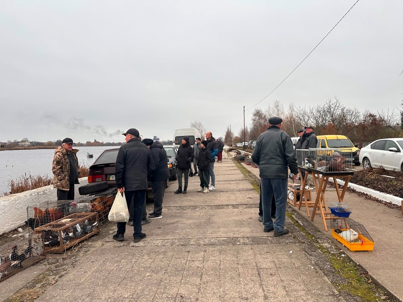 Осіння магія на набережній Старокостянтинова: ярмарок, тваринки та запашна козацька юшка