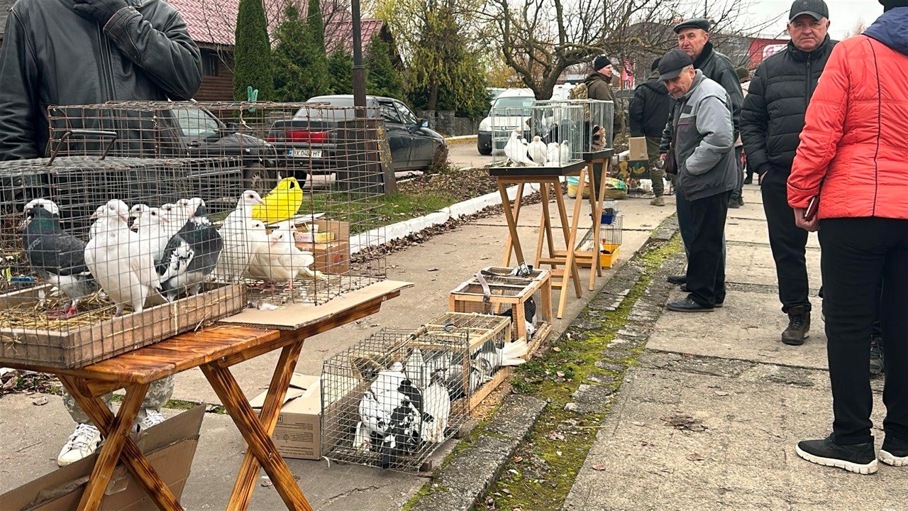 Осіння магія на набережній Старокостянтинова: ярмарок, тваринки та запашна козацька юшка