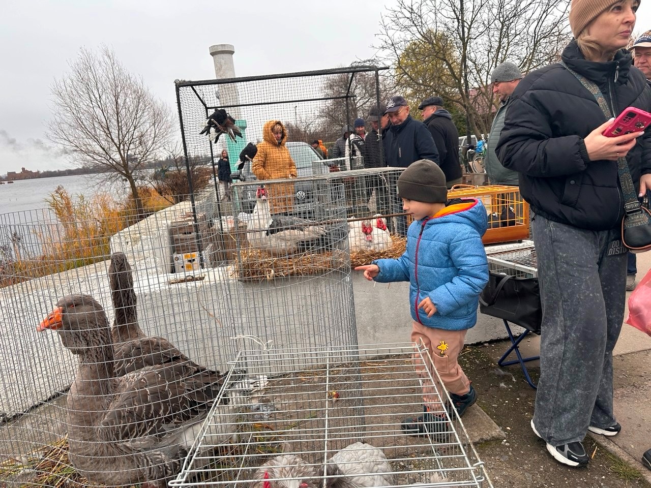 Осіння магія на набережній Старокостянтинова: ярмарок, тваринки та запашна козацька юшка