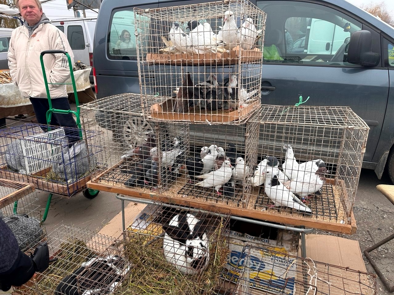 Осіння магія на набережній Старокостянтинова: ярмарок, тваринки та запашна козацька юшка