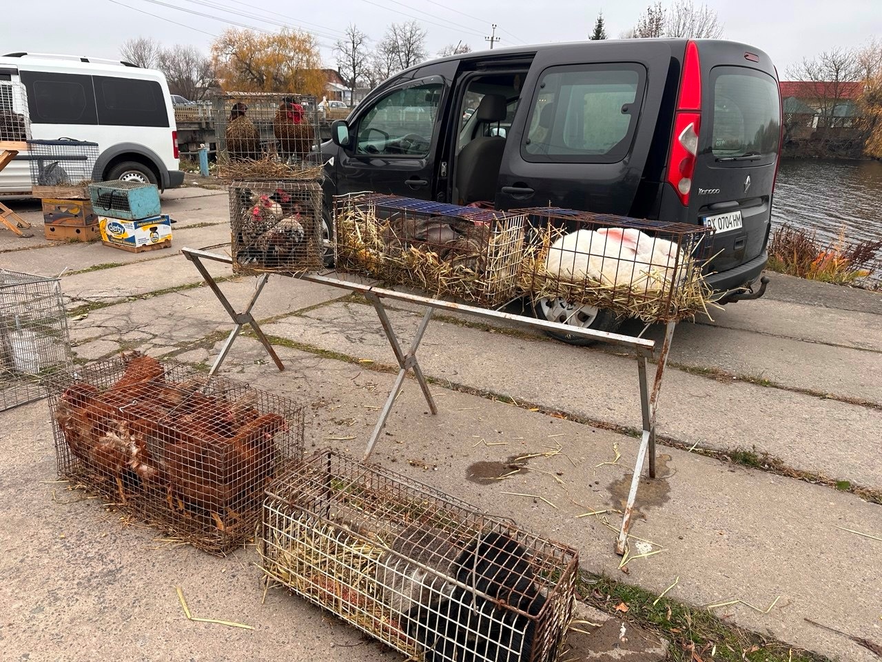 Осіння магія на набережній Старокостянтинова: ярмарок, тваринки та запашна козацька юшка
