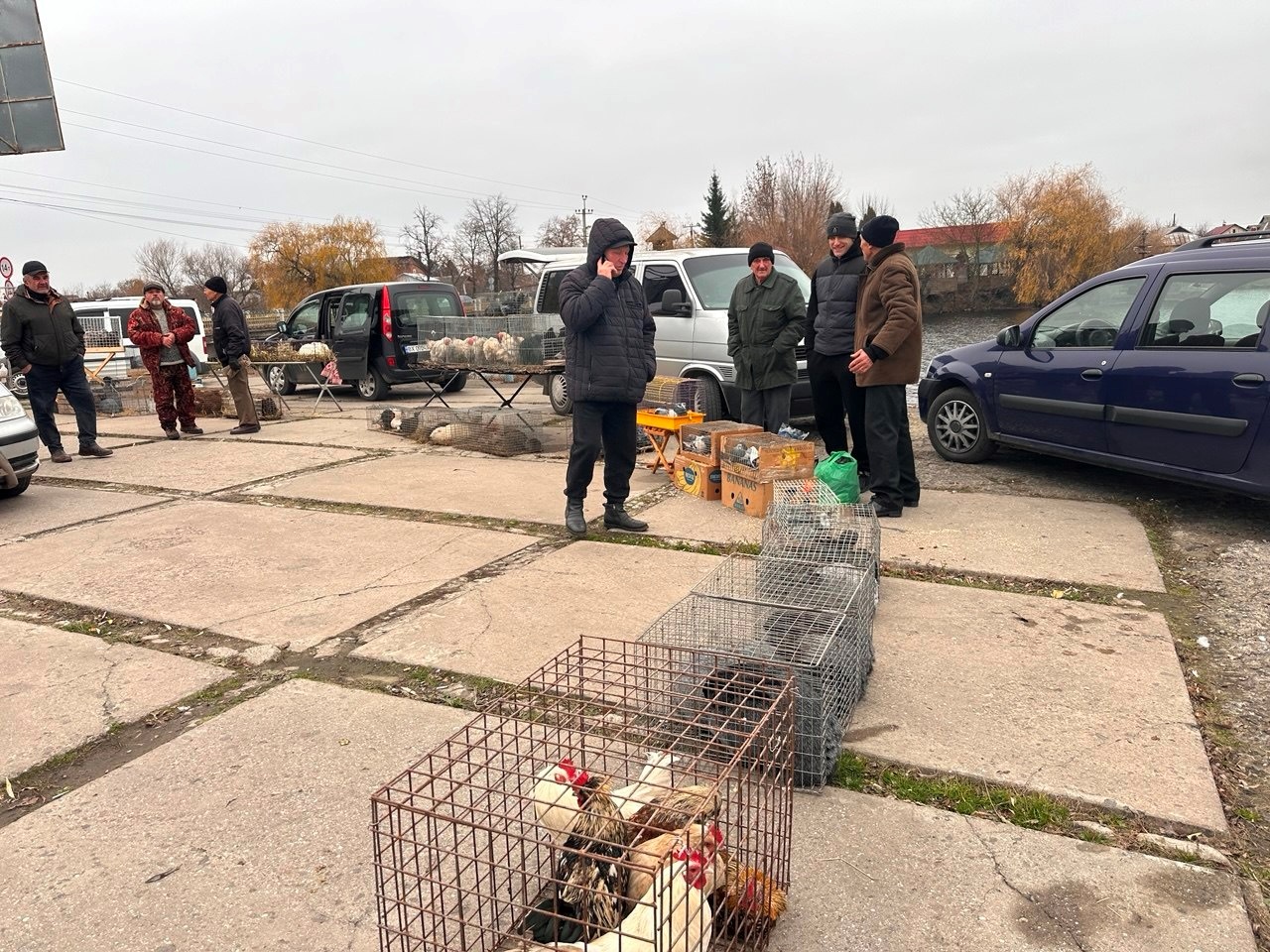 Осіння магія на набережній Старокостянтинова: ярмарок, тваринки та запашна козацька юшка