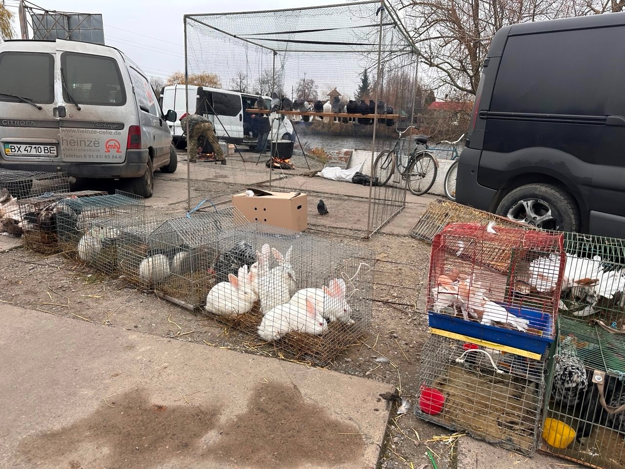 Осіння магія на набережній Старокостянтинова: ярмарок, тваринки та запашна козацька юшка