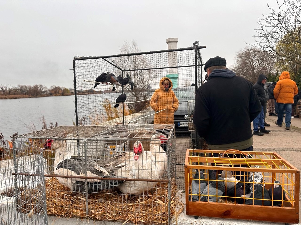 Осіння магія на набережній Старокостянтинова: ярмарок, тваринки та запашна козацька юшка