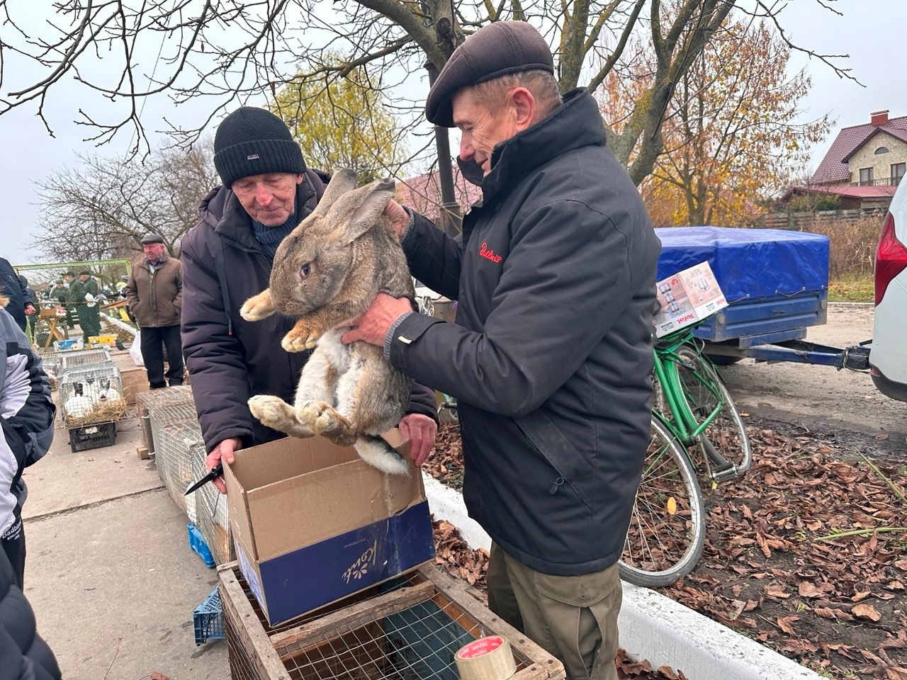 Осіння магія на набережній Старокостянтинова: ярмарок, тваринки та запашна козацька юшка