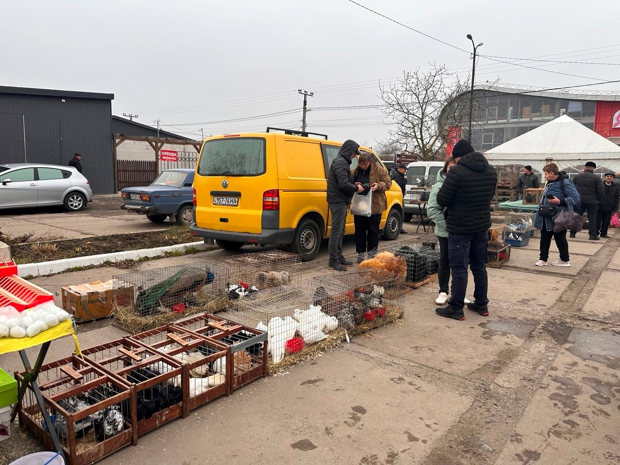 Осіння магія на набережній Старокостянтинова: ярмарок, тваринки та запашна козацька юшка
