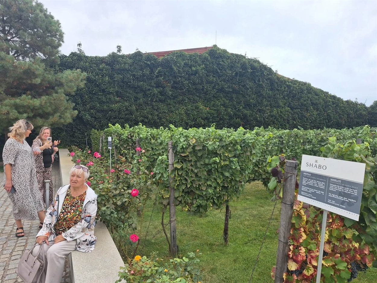 Відома  виробня "Шабо" 