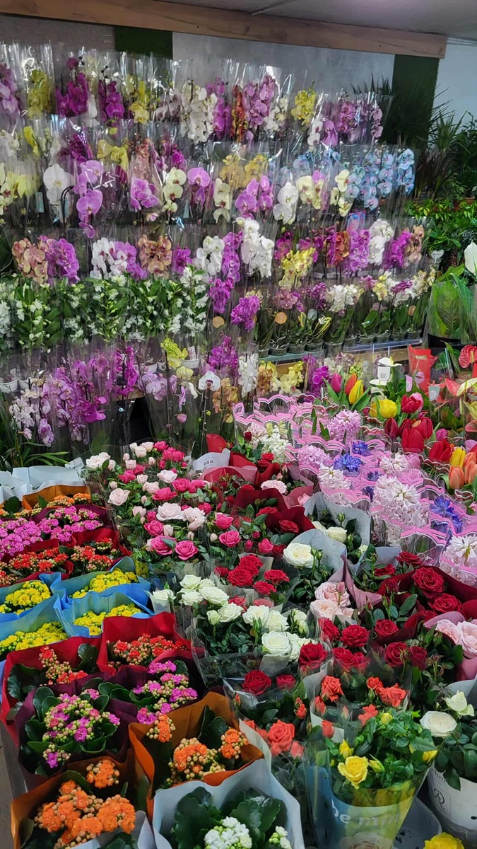 Поклик душі Оксани Чаплінської: мистецтво жити серед квітів