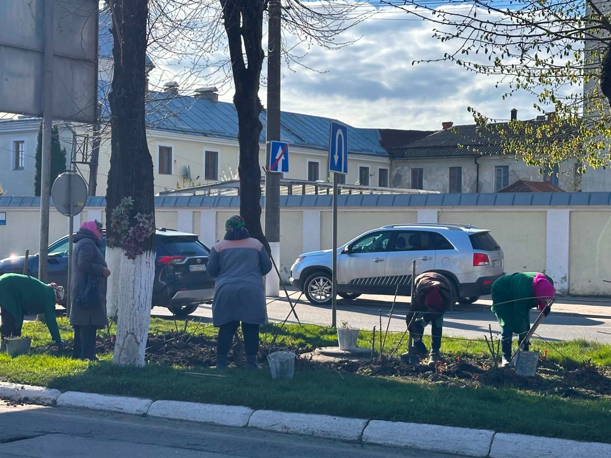 За лаштунками краси: хто щодня робить Старокостянтинів квітучим
