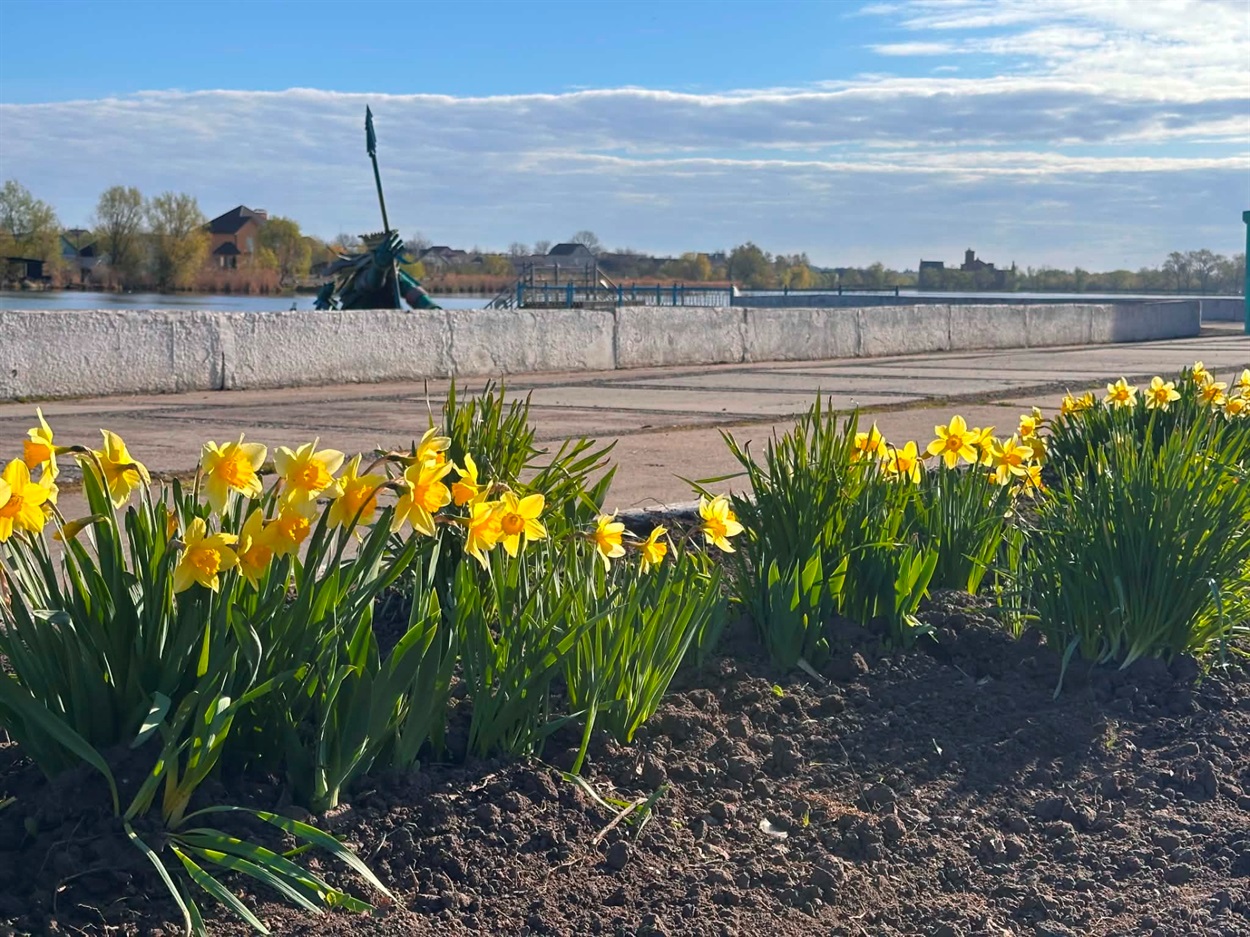 За лаштунками краси: хто щодня робить Старокостянтинів квітучим