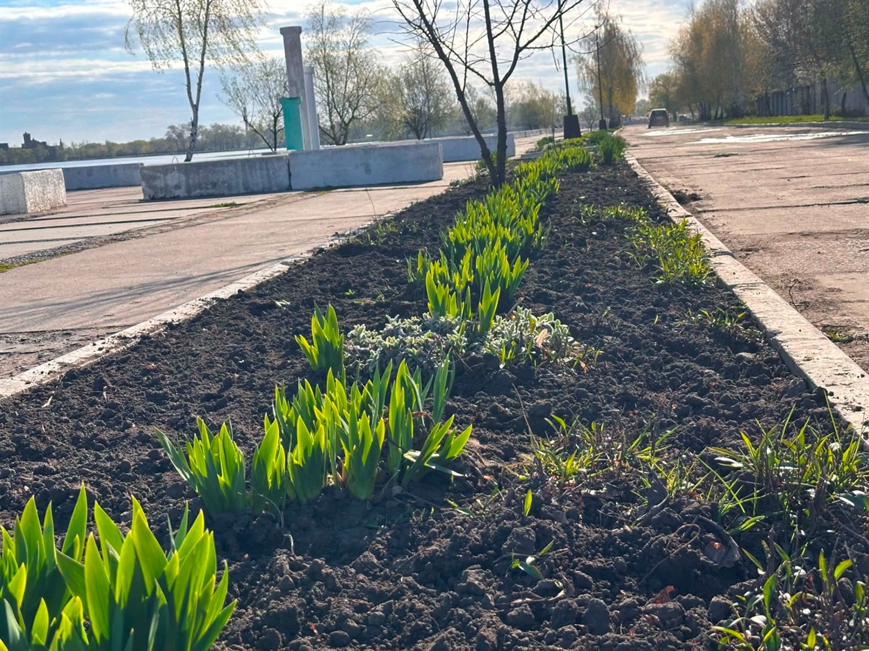 За лаштунками краси: хто щодня робить Старокостянтинів квітучим