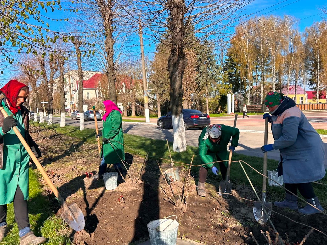 За лаштунками краси: хто щодня робить Старокостянтинів квітучим