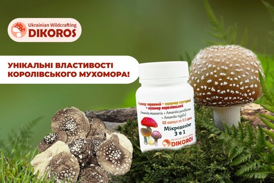 dikoros-ua.com — виробник мікродозингу грибів